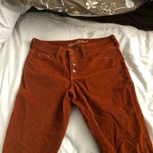 Burnt Orange Corduroys Universal Thread